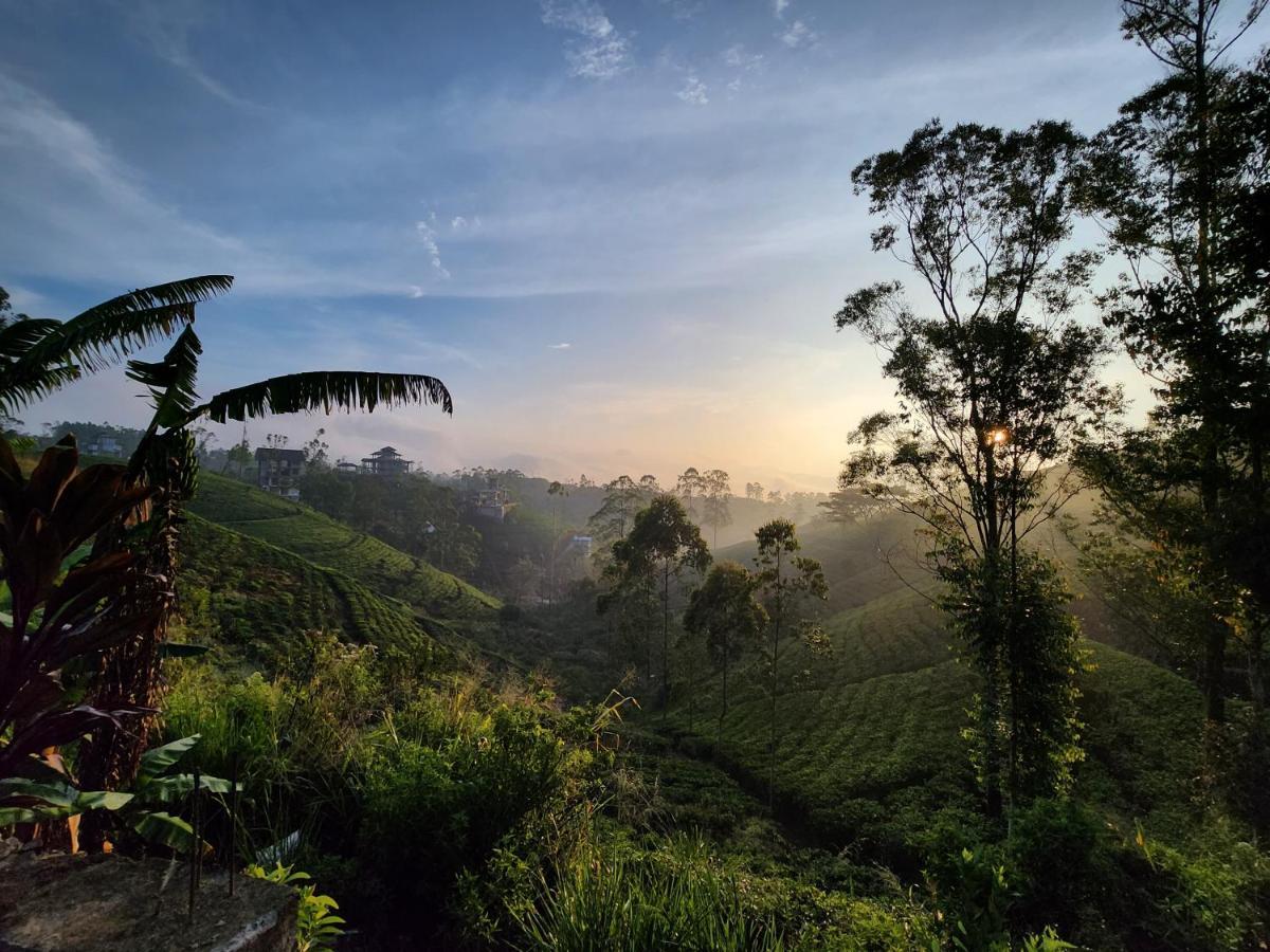 Tranquil Ridge Hilltop Bungalow Bed & Breakfast Hatton Eksteriør bilde