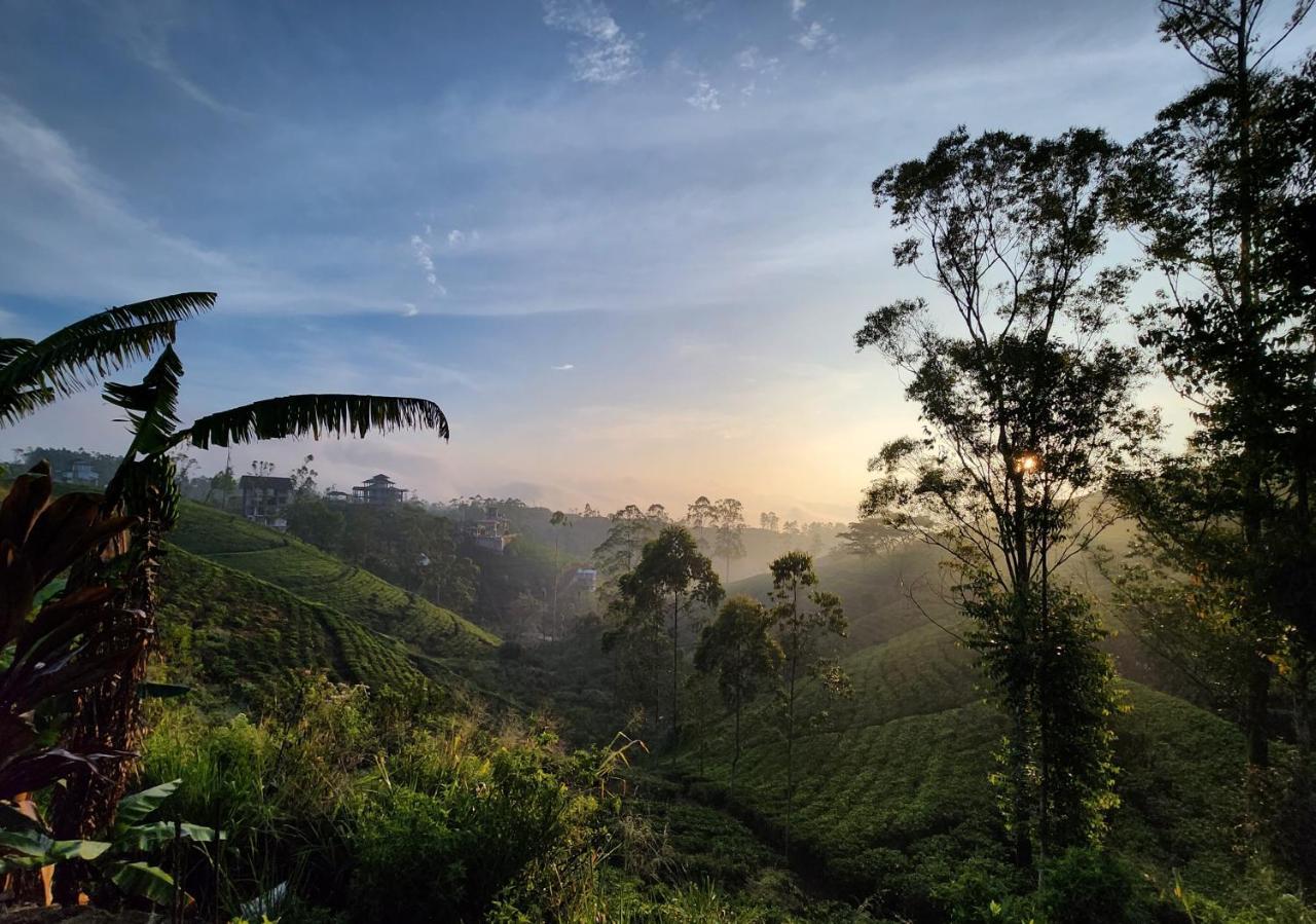 Tranquil Ridge Hilltop Bungalow Bed & Breakfast Hatton Eksteriør bilde